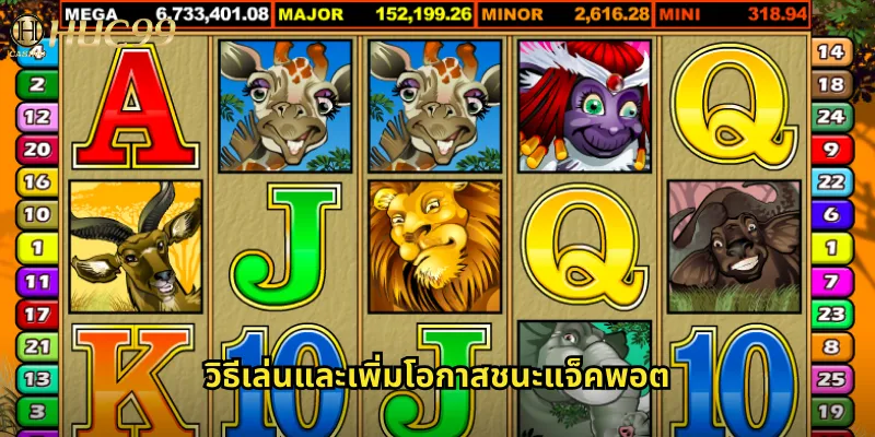 วิธีเล่นและเพิ่มโอกาสชนะแจ็คพอต